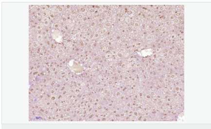 6052b7ecf0f58.png image.png