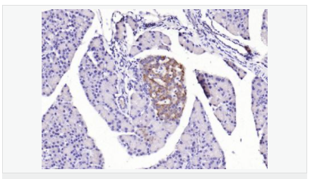 605412ecefb28.png image.png