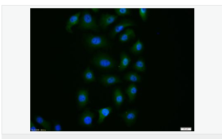 60543c811ab74.png image.png