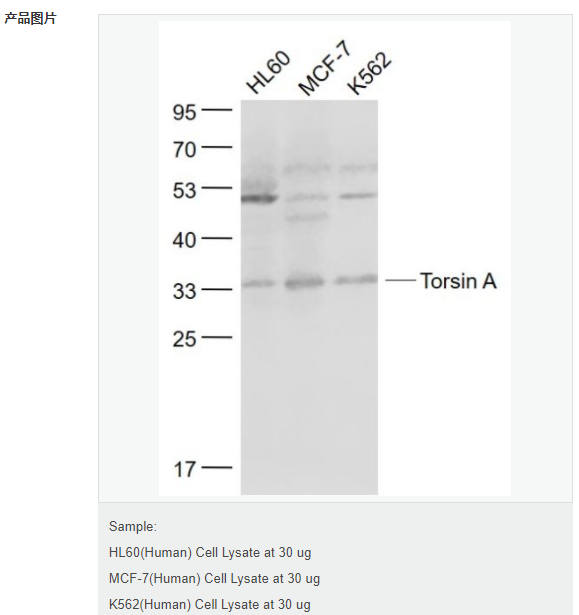 60767f89a9410.png image.png