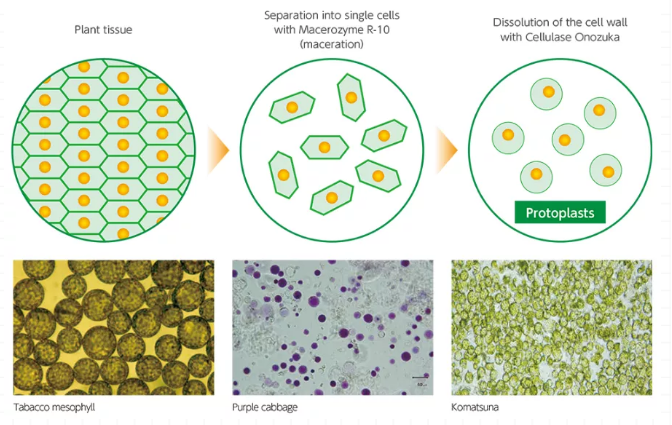 614c10aa04cd5.png image.png