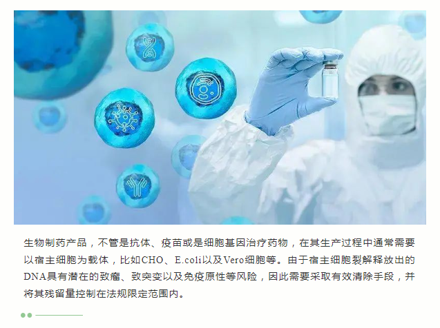 66276ead1d58e.png image.png